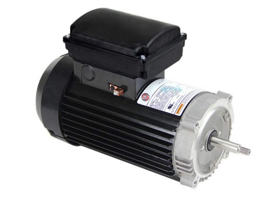 Nidec Motor Corp Aqua Shield Pro TEFC C-Flange Threaded Pool & Spa
