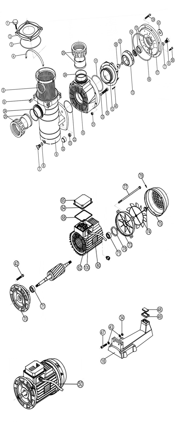 Hayward HCP 4000 Series Single-Speed Commercial Self-Priming Pool Pump | 12.5HP 230/460V Three Phase | HCP401253 Parts Schematic