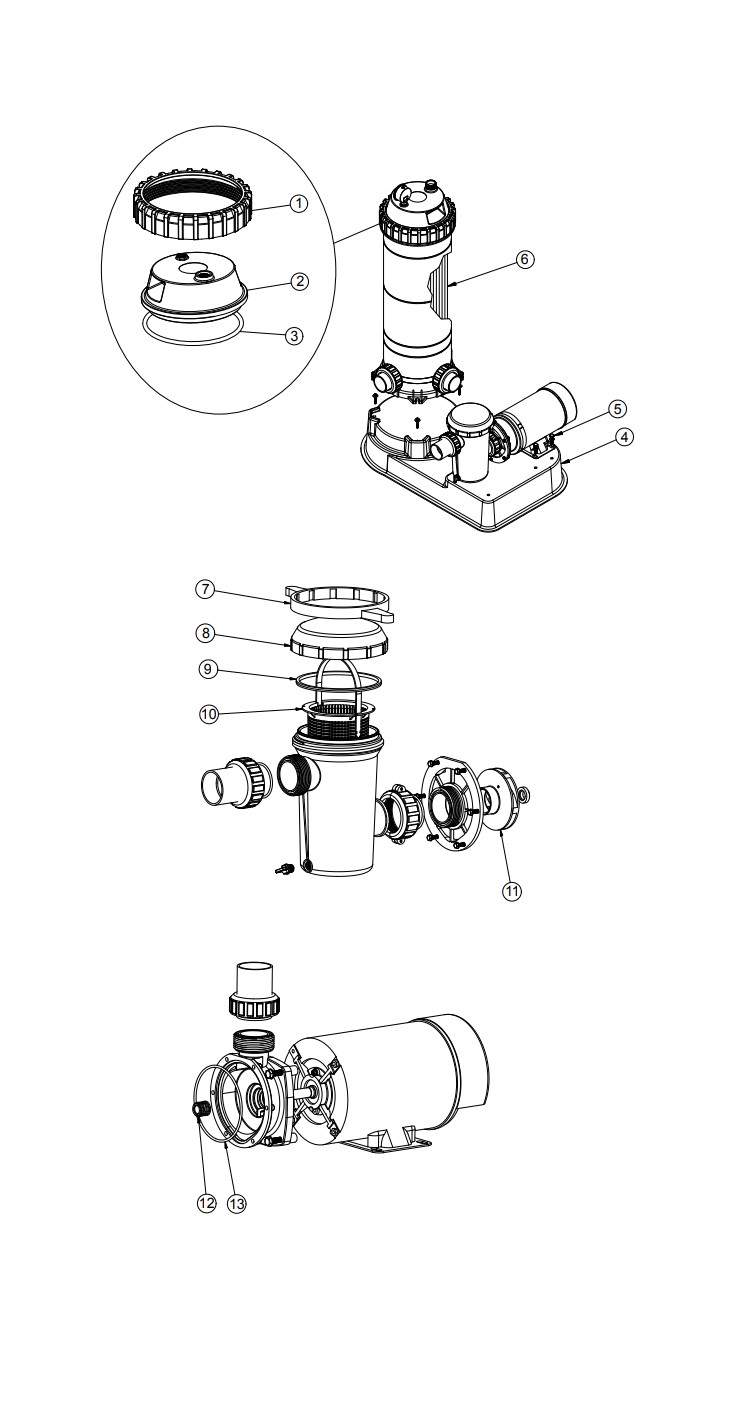 Raypak Protege RPCFP150 Above Ground Pool Cartridge Filter System | 150 Sq. Ft. Filter 1.5HP Pump | 110/115V | 018201 Parts Schematic