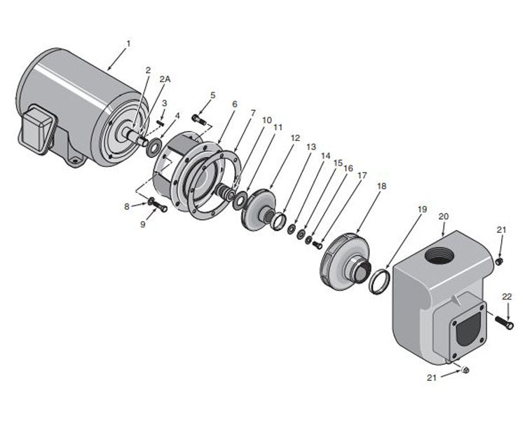 Sta-Rite D-Series 3HP Standard Efficiency Single Phase Commercial Pool Pump 230V | DHH-169 Parts Schematic