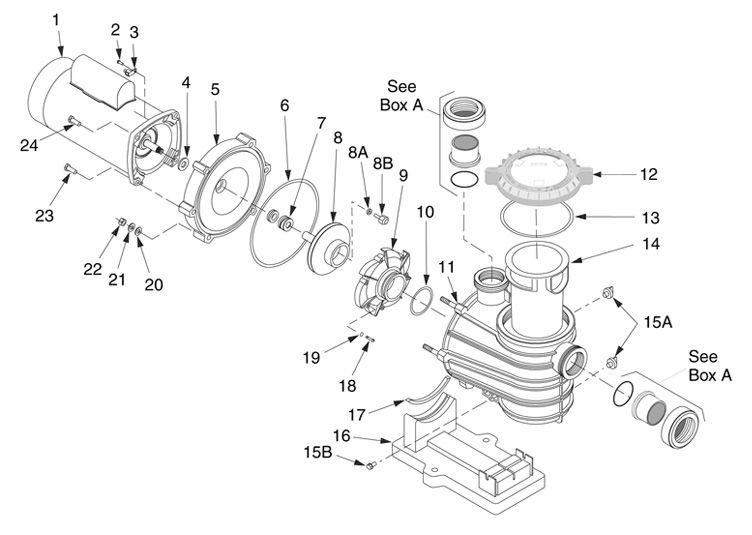 Sta-Rite Dyna-Pro E .75HP Energy Efficient Pool Pump Up Rated 115V 230V  | MPEA6D-204L Parts Schematic