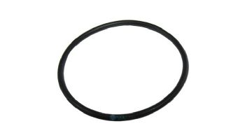 Pentair O-Ring for Index Plate | 35505-1246