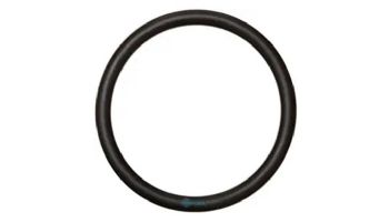 Pentair Plastic Slide Valve O-Ring | 35505-1318