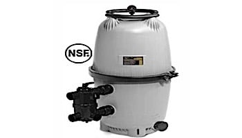 Jandy DEV Series DE Filter |  60 Sq Ft | Requires Backwash Valve | DEV60