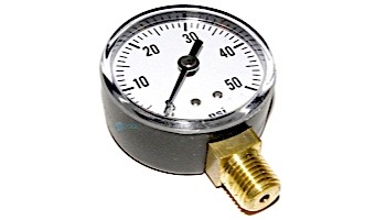 Zodiac Pressure Gauge with O-Ring | R0349300