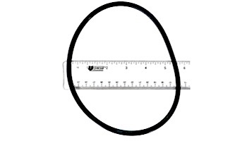 Zodiac Multiport Valve O-Ring | R0354800