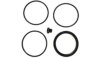 Zodiac O-Ring Kit CJ200/CJ250 | R0558300