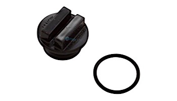 Zodiac Drain Plug with Oring Cl Series | R0358800