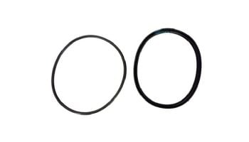 Jandy Lid Seal with O-Ring | R0449100