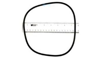 Jandy FHP Backplate O-Ring | R0480300