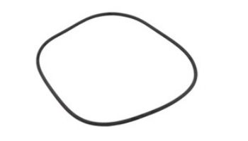 Jandy Filter Tank O-Ring DEL CL CV Series | R0357800