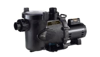 Jandy Stealth High Pressure Full Rated Pool Pump | 3HP 208-230V | SHPF3.0