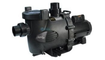 Jandy Water Feature  Medium Head Up-Rated Pool Pump | 80GPM 115V/230V | WFTR80