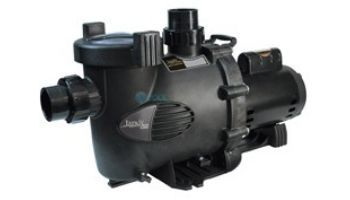 Jandy Water Feature Medium Head Up-Rated Pool Pump | 120GPM 115V/230V | WFTR120