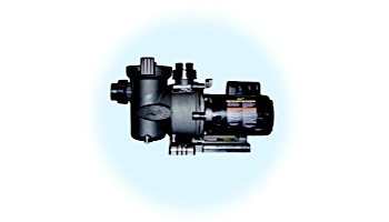 Jandy FloPro Medium Head Pump | .75HP Up-Rated | 115V/230V | FHPM.75