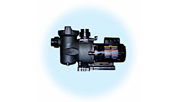 Jandy FloPro Medium Head Pump | 1HP Up-Rated | 115V/230V | FHPM1.0