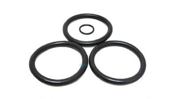 Val-Pak 2" Piston O-Ring Set | 25/Bag | V22-116