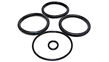 Val-Pak Products Piston O-Ring Set 2" | Plastic | V34-141
