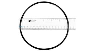 Waterway Plastics Filter Lid O-Ring | 805-0360