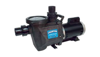 Waterway Champion 56-Frame 2HP Energy Efficient Full Rated Pool Pump 230V | CHAMPE-120