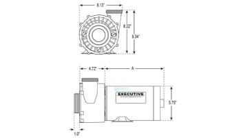 Waterway Executive 48 Frame | 2-Speed 2HP 230V 2" Intake 2" Discharge | 3420820-1A