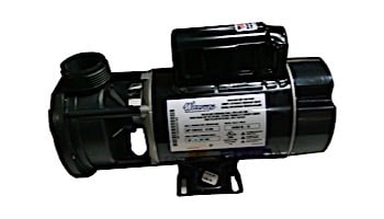 Waterway E Series Spa Pump | 2 Speed 1.0HP 115V 48-Frame Center Discharge | 3420410-15