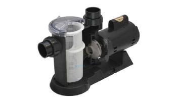 Waterway SVL56 High Flow 56-Frame 1HP Energy Efficient Full Rated Pool Pump 115/230V | SVL56E-110