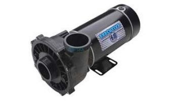 Waterway Executive 48 Frame | 2-Speed 4.5HP 230V 2 1/2" Intake 2" Discharge | 3421821-13