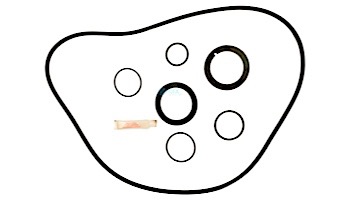 Aladdin O-Ring Kit | RO-KIT400