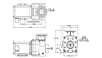 Pentair EQ750 Series 7.5HP Nema Premium Efficiency Single Phase Pool Pump without Strainer 230V | 340021