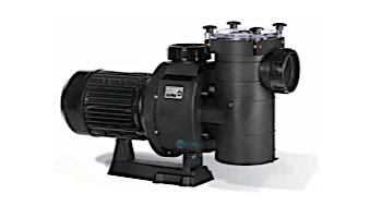 Hayward HCP Series Thermoplastic 3 Phase Commercial Pump | 10HP 230/460 | HCP100