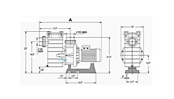 Hayward HCP Series Thermoplastic 3 Phase Commercial Pump | 10HP 230/460 | HCP100