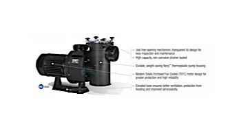 Hayward HCP Series Thermoplastic 3 Phase Commercial Pump | 12.5HP 230/460 | HCP125
