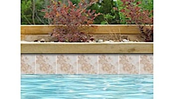 National Pool Tile Oasis Series 6x6 | Sahara Desert | OSS-DESERT
