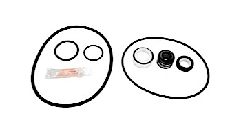 Seal & Gasket Kit for Dough Boy Power Pak II Pool Pumps | GO-KIT29 APCK1023
