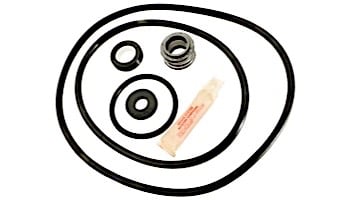 Aladdin Go Kit for Sta-Rite Dyna Glas | Seals & Gaskets GO-KIT44 | APCK1040