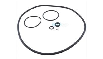Zodiac O-Ring Set | R0466300