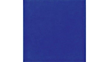 National Pool Tile 6x6 Solids Series | Glossy Cobalt Blue | M6764C
