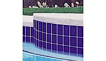 National Pool Tile 6x6 Solids Series | Glossy Cobalt Blue | M6764C
