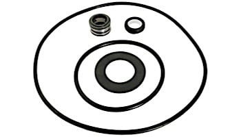 Aladdin Go Kit for Purex C Series Pump | Seals & Gaskets GO-KIT31 | APCK1026