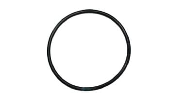 CompuPool ECM O-Ring for Clear Cell Housing | JD363ECM
