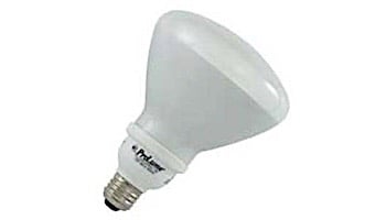 Halco Lighting Technologies ProLume R40 CFL 120V 23W Halogen Bulb | 46208