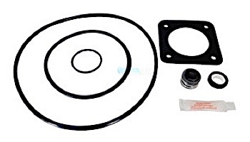 AO Smith Square Flange Pool & Spa Motor | 2.2HP Full-Rated/2HP Up-Rated | 56 Frame Energy Efficient | 208V-230V | HSQ220