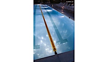 J&J Electronics Pool Light Fixture LED Pure White 120V 15' Cord | LPL-H15-P1-WHT-120