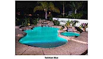 J&J Electronics 3G Pool Light Fixture LED Color Splash 14V 50' Cord | LPL-H50-P1-RGB-12
