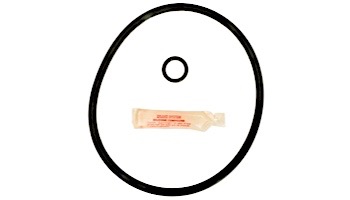Aladdin Go Kit for Hayward C Series Feeders | Seals & Gaskets GO-KIT56 | APCK1053