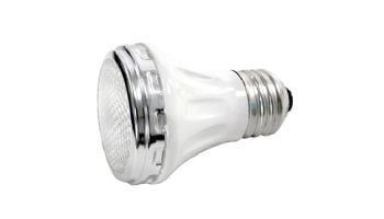 Pentair SpaBrite Replacement Bulb Kit | 60W 120VAC PAR16 | 650139Z