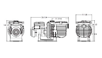 Sta-Rite IntelliPro 3HP Programmable Variable Speed Pool Pump | Time Clock Included | P6E6VS4H-209L