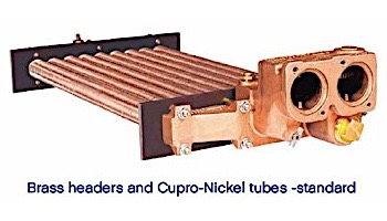 Raypak Professional Series Propane Gas Commercial Pool & Spa Heater 399K BTU | Cupro Nickel Heat Exchanger | Electronic Ignition | Digital Controls | B-R408-EP-X #57 013732