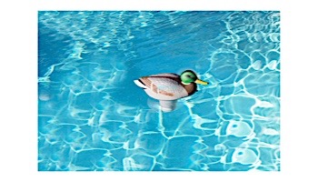 Poolmaster Clori-duck Mallard Chlorine Dispenser | 32130
